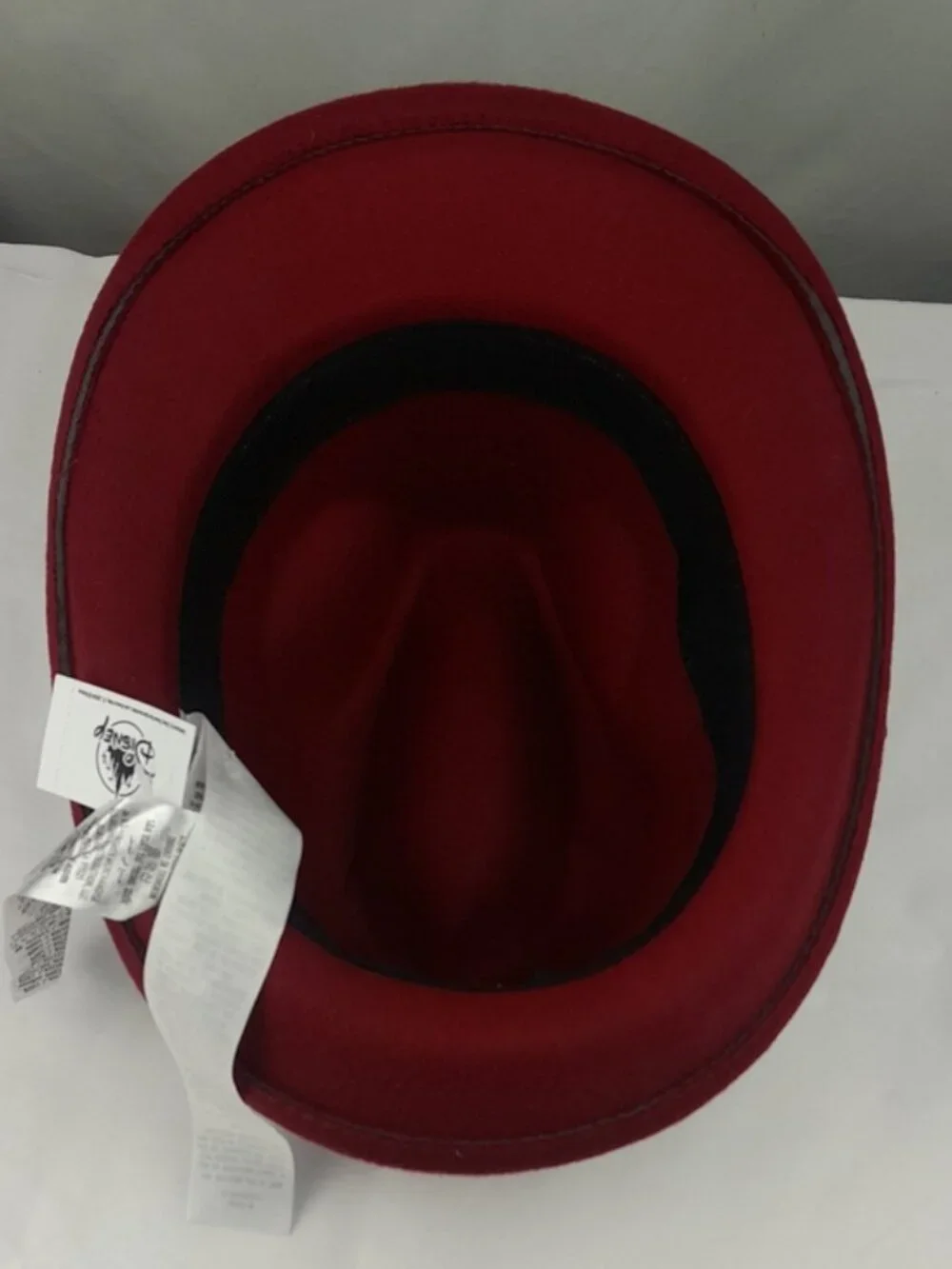 Disney Mickey Mouse Matterhorn Fedora Hat with Ears